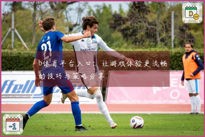 b体育平台入口：让游戏体验更流畅的技巧与策略分享